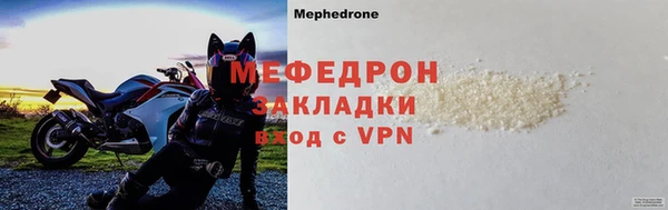 гидра Няндома