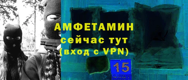 гидра Няндома