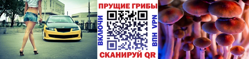 купить наркоту Вышний Волочёк Псилоцибиновые грибы Magic Shrooms